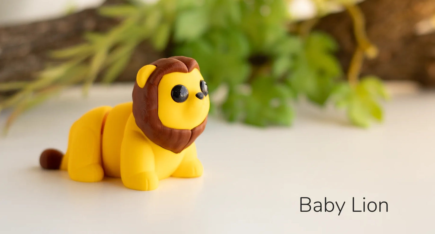 Baby Lion