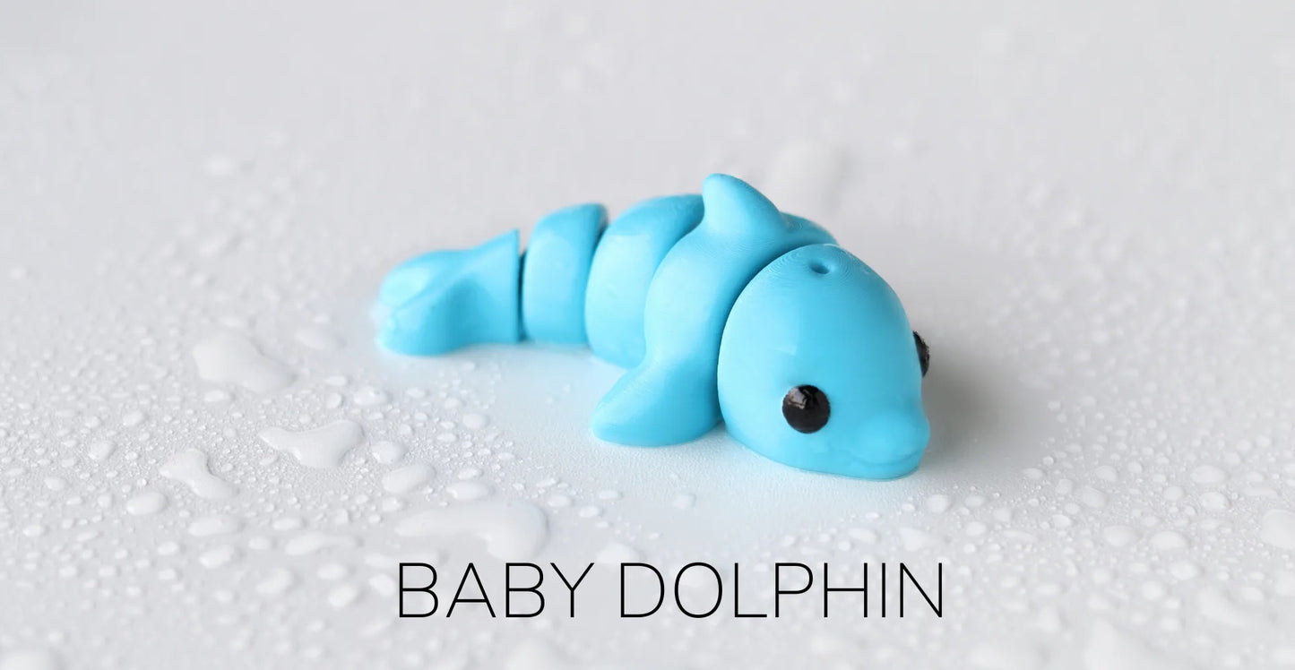 Baby dolphin